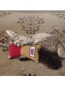 chat qui joue avec le jouet pour chat kickeroo cuddler kong
