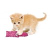 chaton qui joue avec le jouet pour chaton kickeroo kong