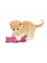 chaton qui joue avec le jouet pour chaton kickeroo kong