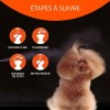 conseils d'utilisation du Shampooing sec pour chat speed artero