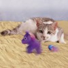 chat qui joue avec le jouet pour chat buzzy unicorn  kong