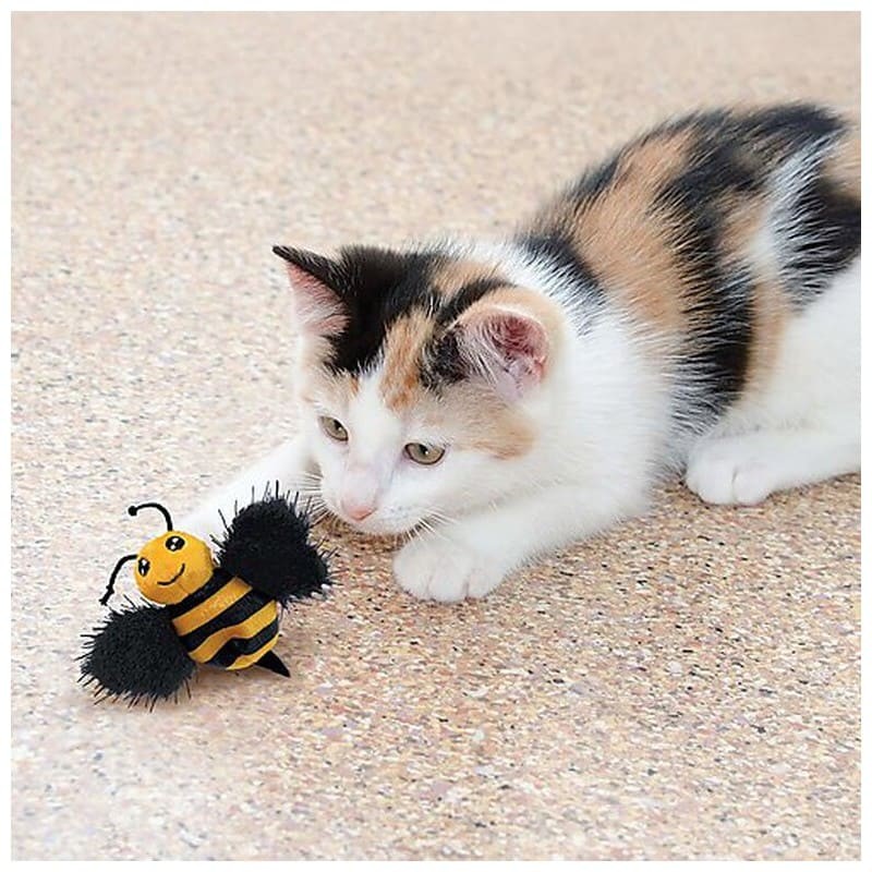 chat qui joue avec le jouet pour chat better buzz bee kong