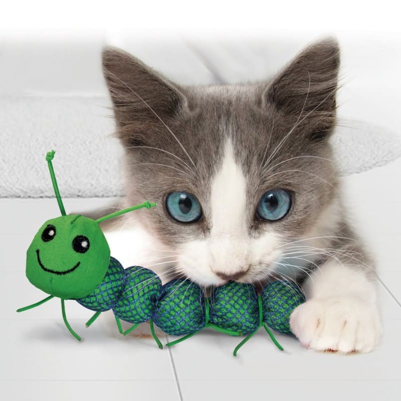 chat qui joue avec le jouet pour chat nibble bestioles kong