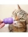 chat qui jouet avec le jouet pour chat Cat kitty KONG