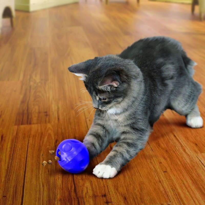 chat qui joue avec le Jouet pour chat Treat Dispensing Ball KONG, qui distribue des friandises