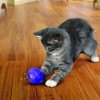 chat qui joue avec le Jouet pour chat Treat Dispensing Ball KONG, qui distribue des friandises