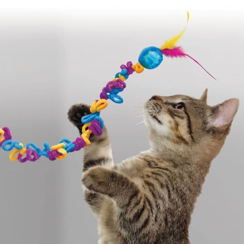 chat qui joue avec le jouet pour chat teaser loopz kong