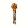 friandise pour chien sucette cabillaud dinde cooka's cookies sans emballage