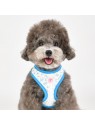 chien avec le Harnais pour chien lobelia bleu Pinkaholic