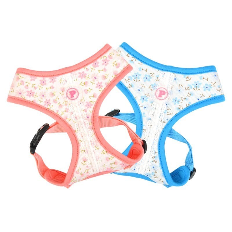 Harnais pour chien lobelia Pinkaholic disponible en bleu ou rose