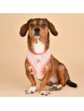 chien et harnais pour chien rose lobelia pinkaholic