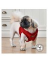 chien avec le Harnais Veste pour chien  TERRY Rouge Puppia