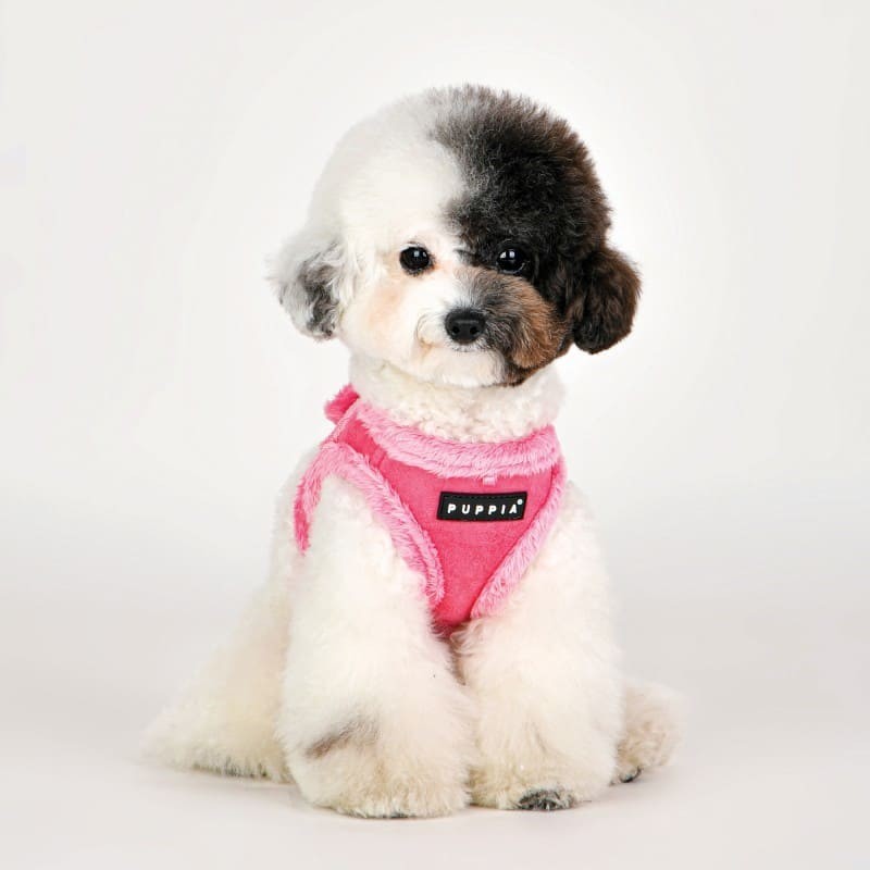chien portant le Harnais Veste pour chien rose TERRY Puppia