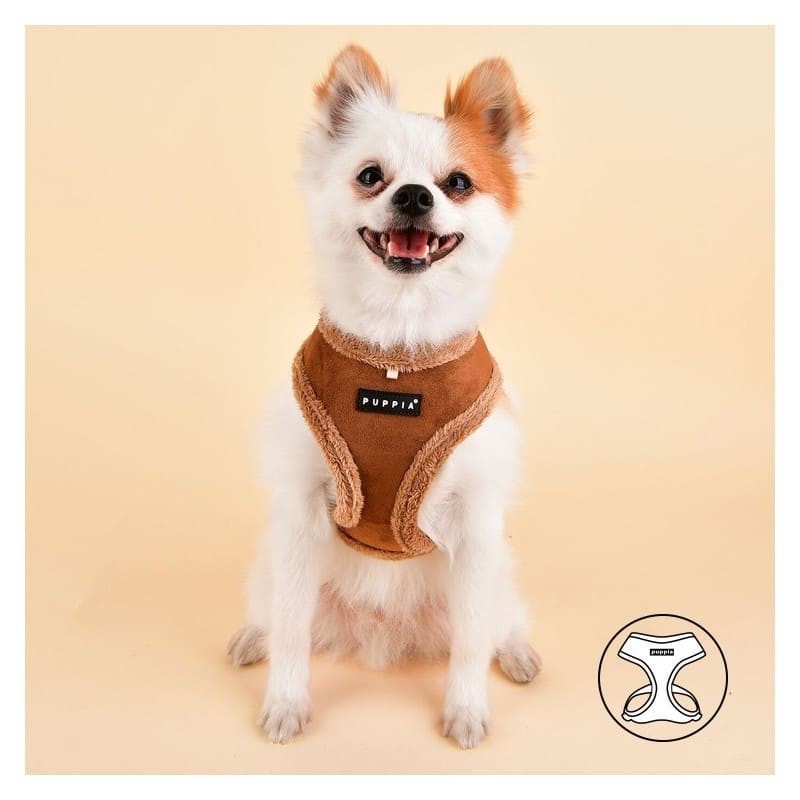 chien de face avec le harnais pour chien beige terry puppia
