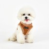chien de face avec le Harnais Veste pour chien beige TERRY Puppia