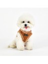 chien de face avec le Harnais Veste pour chien beige TERRY Puppia
