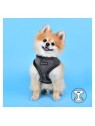 chien de face avec le harnais pour chien gris terry puppia