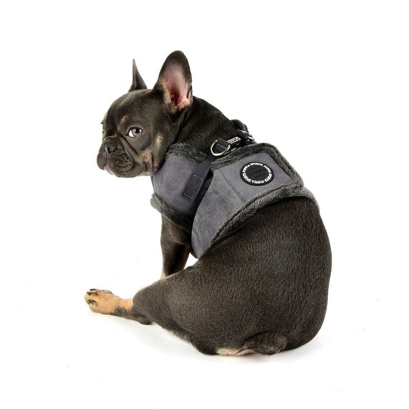 chien de dos avec le Harnais Veste pour chien gris TERRY Puppia