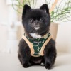chien avec le Harnais pour chien kaki FLORENT Puppia