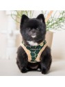 chien avec le Harnais pour chien kaki FLORENT Puppia