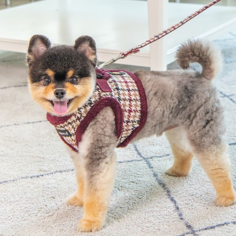 chien avec le Harnais Veste pour chien rouge KENT Puppia et la laisse assortie