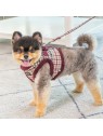 chien avec le Harnais Veste pour chien rouge KENT Puppia et la laisse assortie
