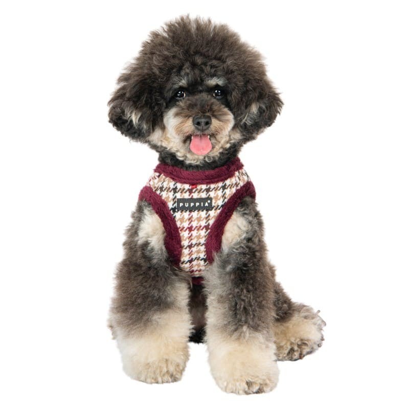 chien de face avec le Harnais Veste pour chien rouge KENT Puppia