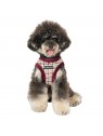 chien de face avec le Harnais Veste pour chien rouge KENT Puppia