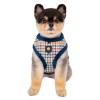 chien de face avec le Harnais pour chien bleu KENT Puppia