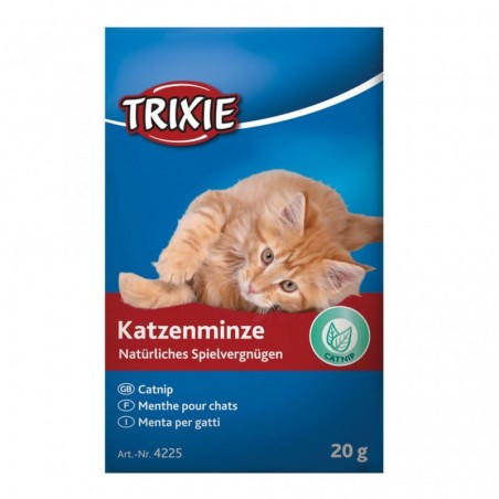 herbe à chat catnip trixie