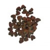 friandises pour chat coeurs saumon et épinard les filous sans emballage
