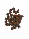 friandises pour chat coeurs saumon et épinard les filous sans emballage