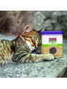 chat avec une boîte d'herbe à chat KONG