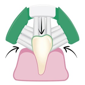 comment la brosse à dents pour chien triple tête Bugalugs nettoie les dents de votre animal