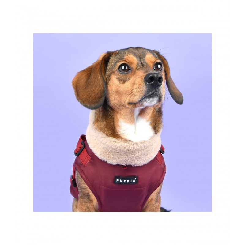 chien avec le manteau pour chien bordeaux avec harnais intégré Donavan Puppia