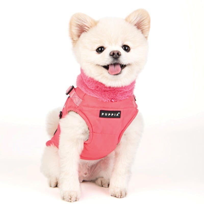 chien de face avec le manteau pour chien rose avec harnais intégré Donavan Puppia