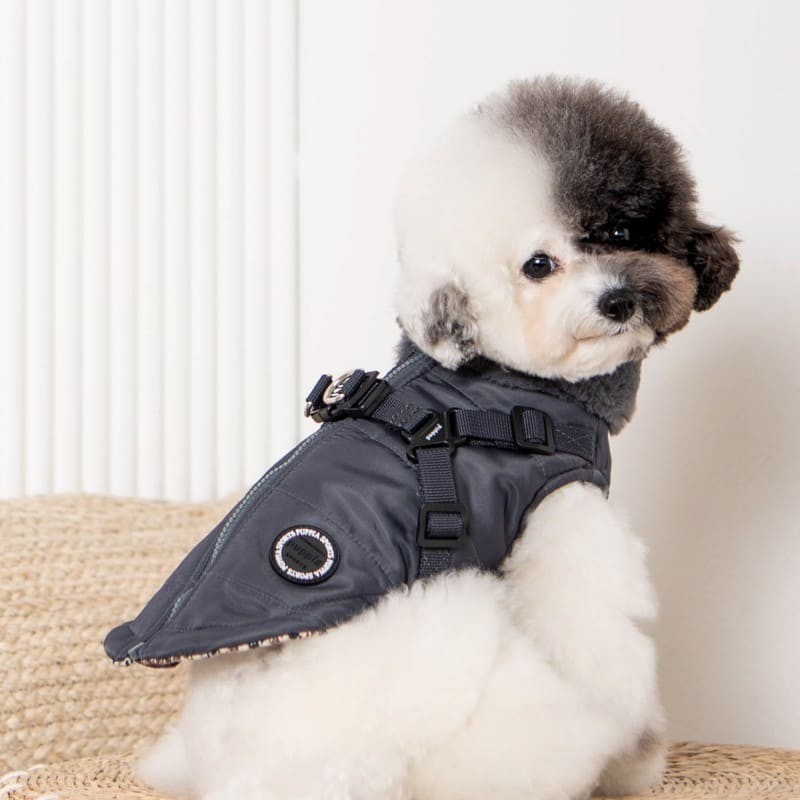 chien de profil avec le manteau pour chien gris avec harnais intégré Donavan Puppia