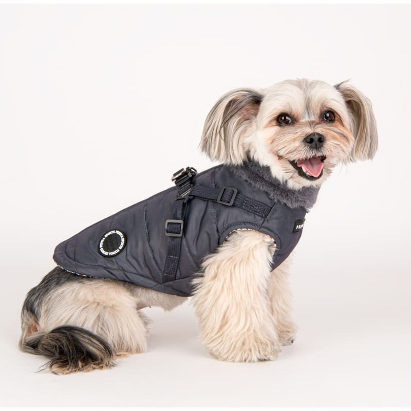 chien de profil portant le manteau pour chien gris avec harnais intégré Donavan Puppia