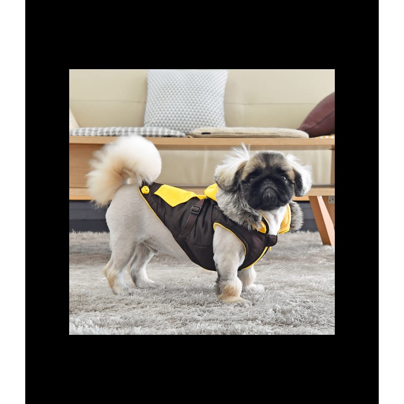 chien de profile avec la doudoune pour chien marron avec harnais intégré Orson Puppia