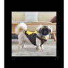 chien de profile avec la doudoune pour chien marron avec harnais intégré Orson Puppia