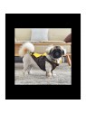 chien de profile avec la doudoune pour chien marron avec harnais intégré Orson Puppia