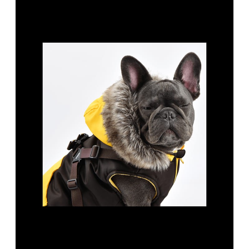 chien avec doudoune pour chien marron avec harnais intégré Orson Puppia