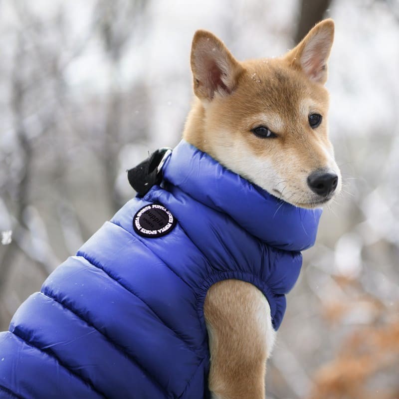 chien avec la doudoune pour chien bleu marine ULTRALIGHT Puppia