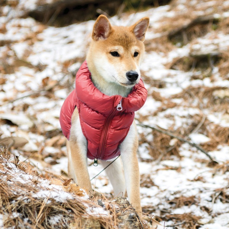 chien avec la doudoune pour chien rouge ULTRALIGHT Puppia®