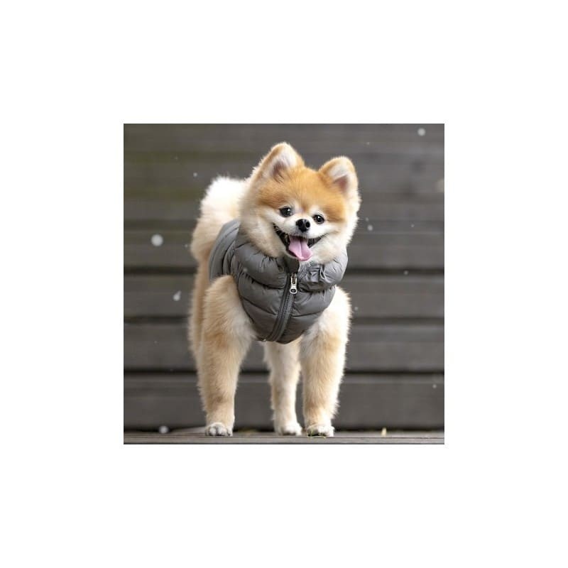 chien avec la Doudoune pour chien grise ULTRALIGHT Puppia®