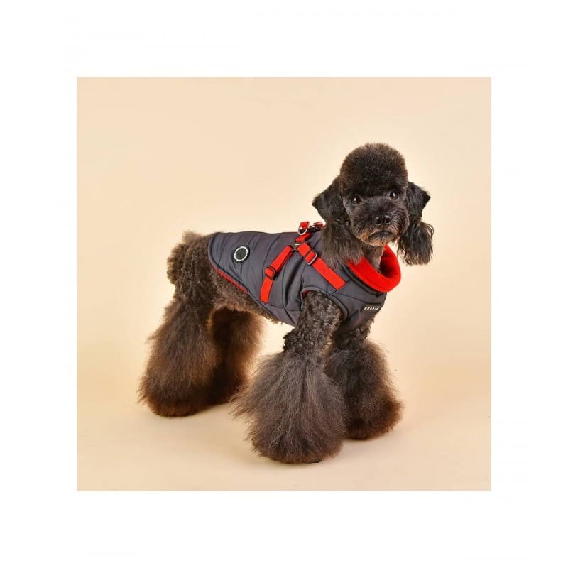 chien avec le manteau pour chien gris avec harnais intégré Mountaineer Puppia