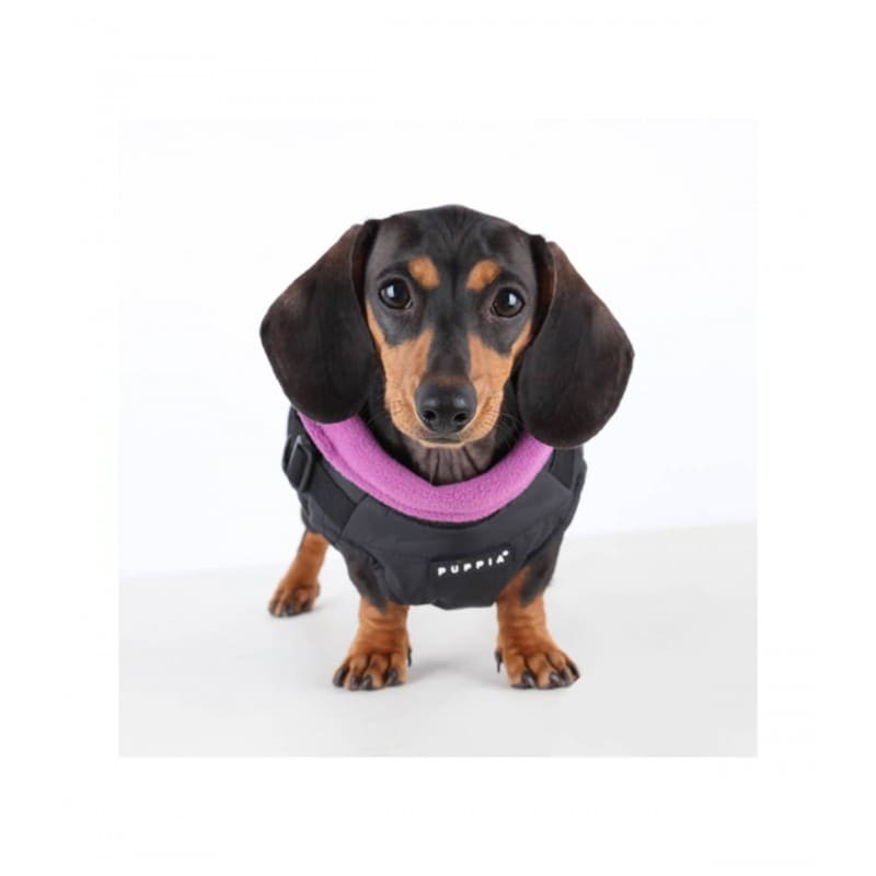 chien avec le manteau pour chien noir avec harnais intégré Mountaineer Puppia