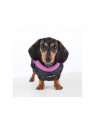 chien avec le manteau pour chien noir avec harnais intégré Mountaineer Puppia