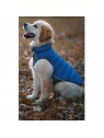 chien portant la doudoune pour chien réversible bleu turquoise red dingo