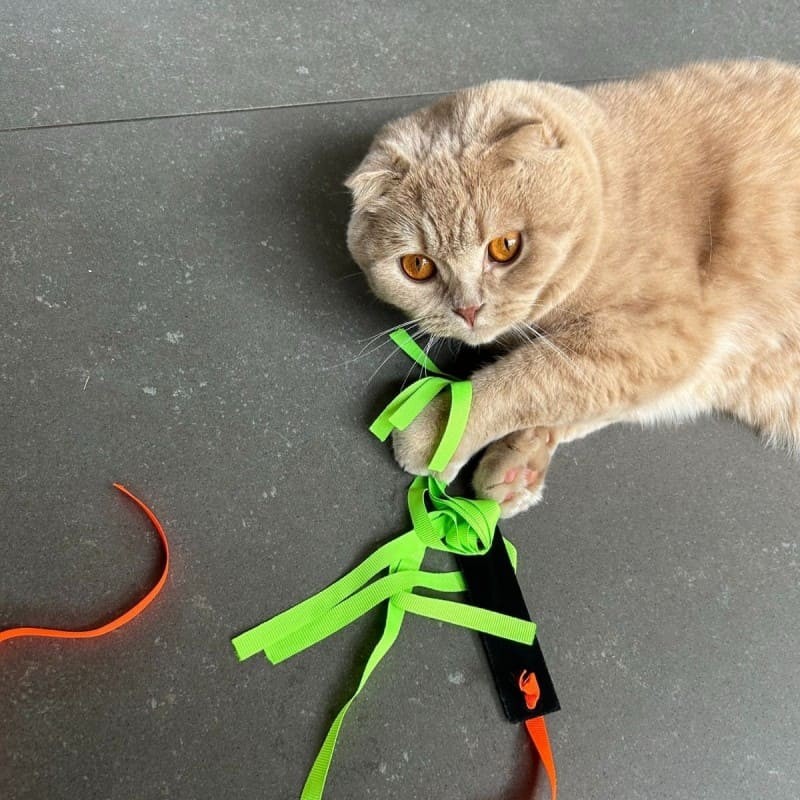 chat qui joue avec le jouet pour chat upcyclé en cuir la fusée MARTIN SELLIER